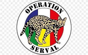 French Intervention in Mali: Operation Serval
