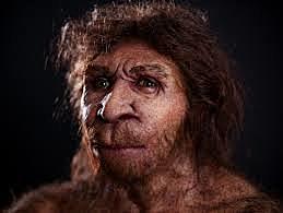 Homo heidelbergensis