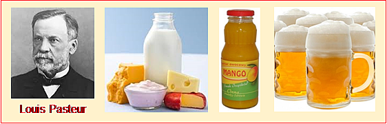 Fermentación y Pasteurización: