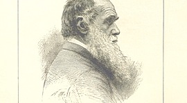 Timeline: Charles Robert Darwin, 12 Feb 1809-19 Apr 1882