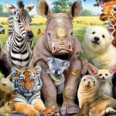 Timeline: EXTINCIÓN DE ESPECIES