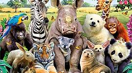 Timeline: EXTINCIÓN DE ESPECIES