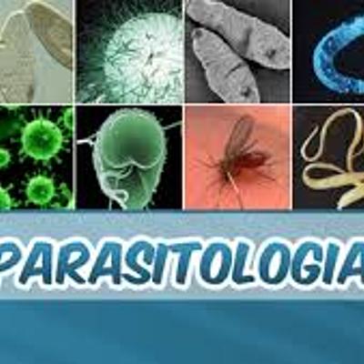 Timeline: PARASITOLOGIA - UNINASSAU