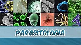 Timeline: PARASITOLOGIA - UNINASSAU