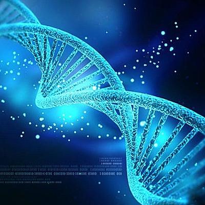 Timeline: Avances del descubrimiento sobre el ADN