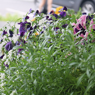 Timeline: natural resources Earth day