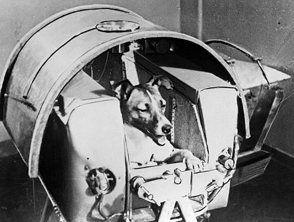 Lancio del primo essere vivente nello spazio: Laika. (Lentini)