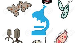 Timeline: Principales hechos que marcaron la historia de la microbioligía.