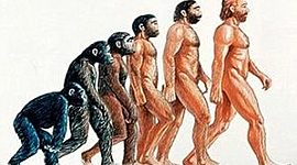 Timeline: EJE CRONOLÓGICO EVOLUCIÓN HOMÍNIDOS