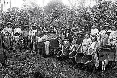 Modernismo Capitalista