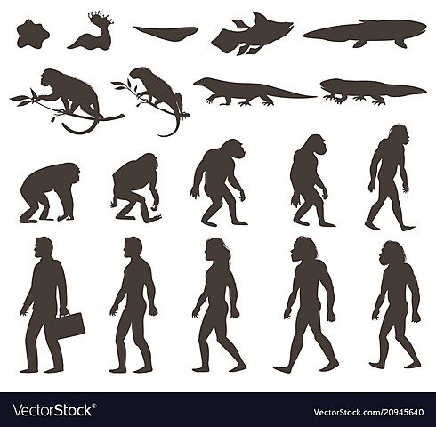 The Beginning of Evolution