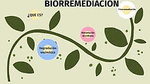 BIORREMEDIACION: