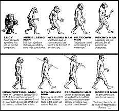Theory of Evolution by natural selection