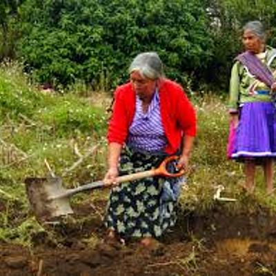 Timeline: Psicología Comunitaria en Latinoamerica