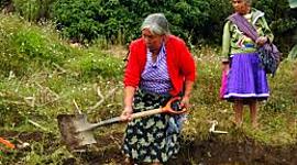 Timeline: Psicología Comunitaria en Latinoamerica