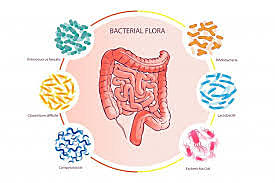 MICROFLORA: