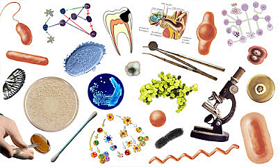 LA NEFERMEDAD INFECCIOSA