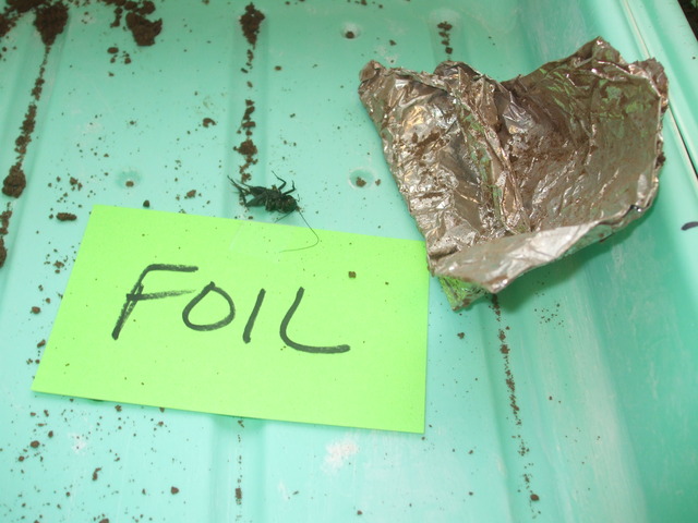 Aluminum Foil Conclusion