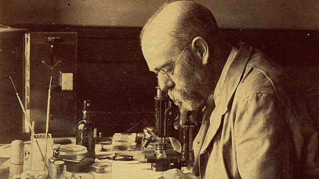 Robert Koch