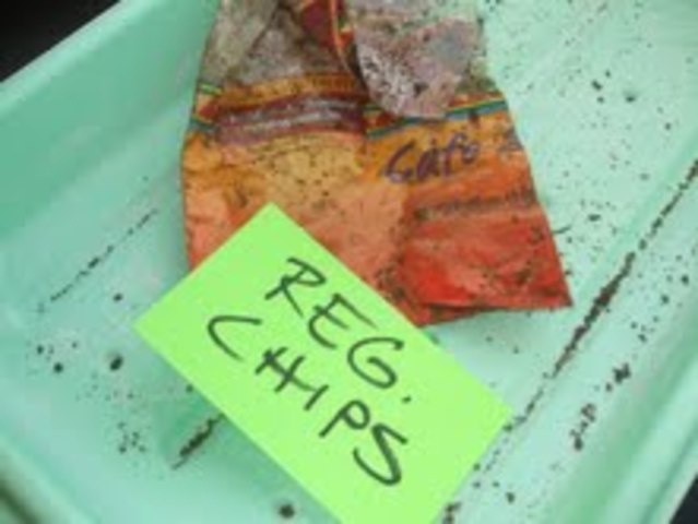 Sun Chips Bag Conclusion