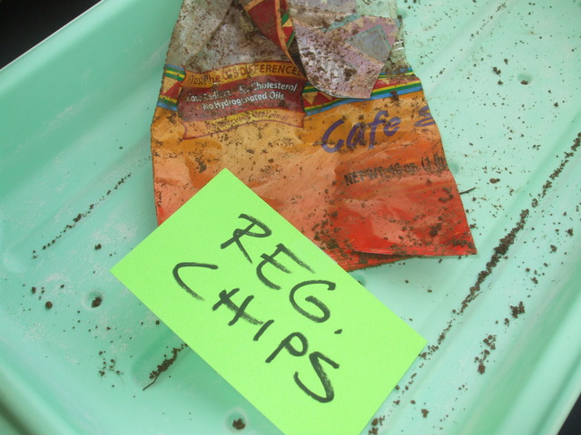 Regular chips observation