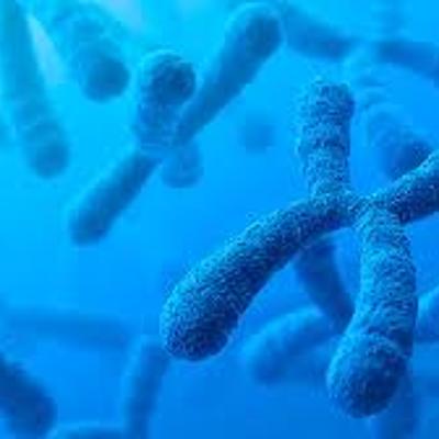 Timeline: Principales aportes a la Genética