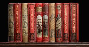 Bibliotecas tradicionales con coleccion impresas