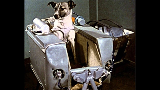 Laika and Sputnik 2 make it to space