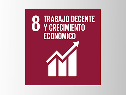Objetivo 8: Promover el crecimiento económico sostenido, inclusivo y sostenible, el empleo pleno y productivo y el trabajo decente para todos