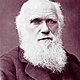 1024px charles darwin photograph by herbert rose barraud, 1881 2