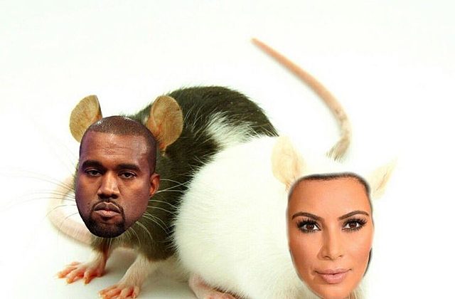 Se filtra la llamada telefónica completa