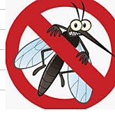 Programa de Erradicación del Paludismo