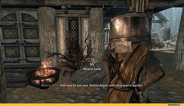 The Elder Scrolls V: Skyrim