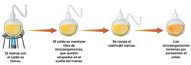 Fin Generación espontánea / Pasteur