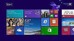 windows 8.1