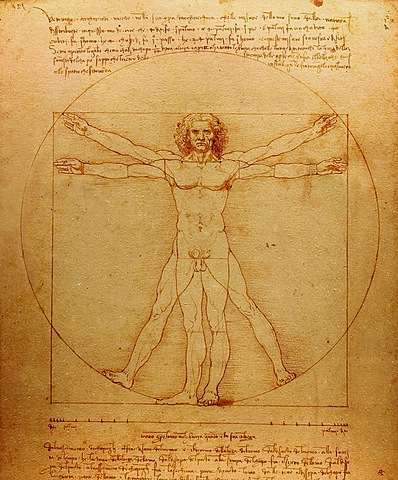 Creació de l'Home de Vitruvi - Leonardo da Vinci