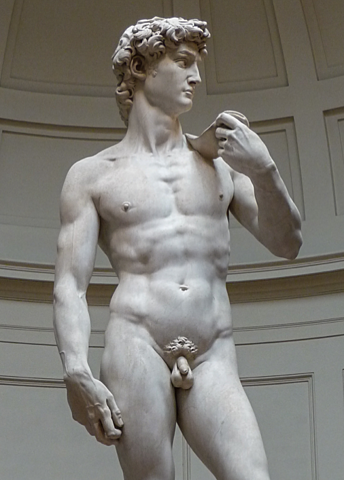 Creació del David - Michelangelo Buonarroti