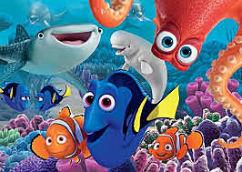 Arrivano allo Zoo oceanografico Marine Life  Institute in California