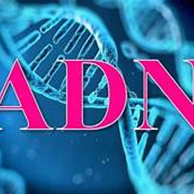 Timeline: Descubrimiento del ADN