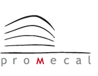 Marcha de 3.500 personas hacia la sede Grupo Promecal.