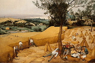 Del campo a la ciudad.