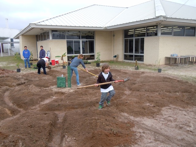 School Garden
