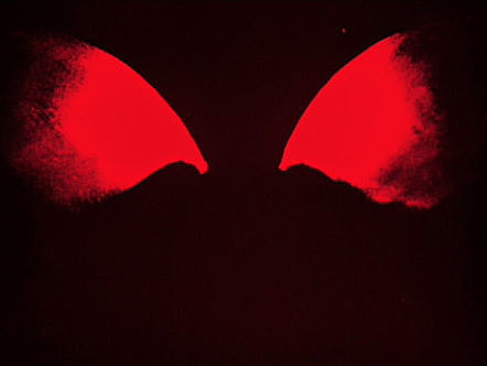 W. Ruttmann, Lichtspiel opus