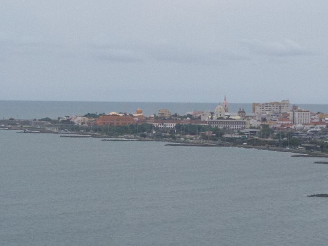 nace la belleza de elkin david