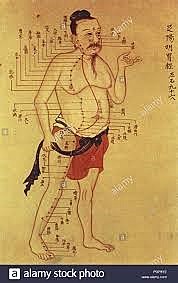 2.800  MEDICINA TRADICIONAL CHINA