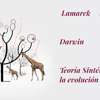 Timeline:  La evolución: Lamark, Darwin y la teoría sintética
