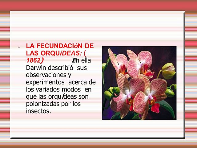 Darwin "La fecundación de las orquídeas"