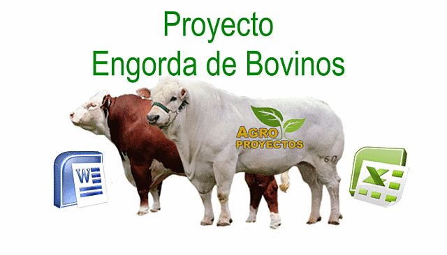 NUEVOS PROYECTOS PRODUCTIVOS