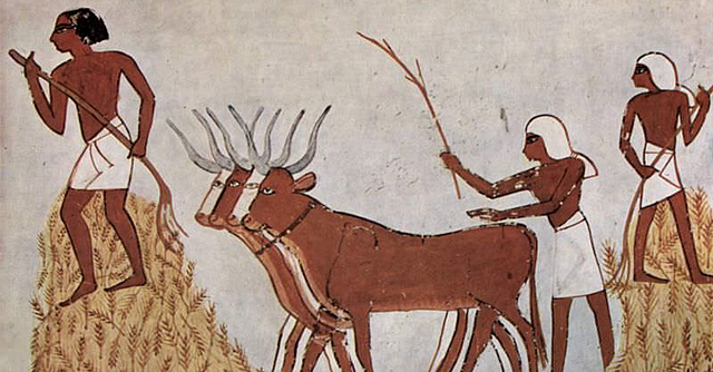 Energía mecánica (Tracción animal)