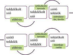 A toldalékok elsajátításának hierarchikus sorrendje - Gósy 2005